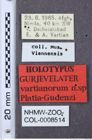 Etiketten zu Gurjevelater vartianorum (Platia & Gudenzi, 2000) (NHMW-ZOO-COL-0008514)